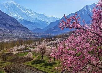 Hunza Velley Blossom Tours
 summit ridge